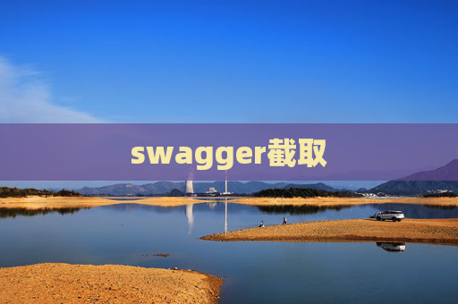 swagger截取